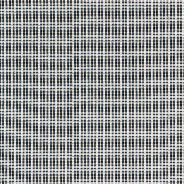 Sample - Schumacher Aruba Check Fabric in Navy For Sale