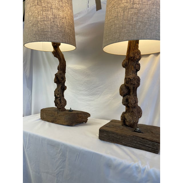 Two one of a kind burl wood lamps. They are rustic in surface and elegant in their natural shape. Tho the lamps are not an...