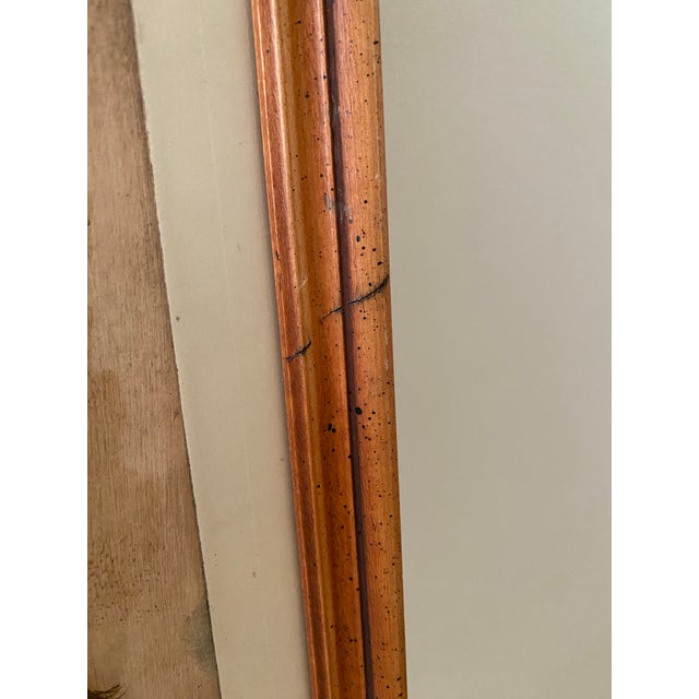 Mid 20th Century Vintage Mid-Century Original Lion Animal Etching Signed For Sale - Image 5 of 5