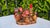 Wooden forest-themed candle holder with a bird and mushrooms, vintage 1970s., dimensions: height 10 cm, width 17.5 cm,...