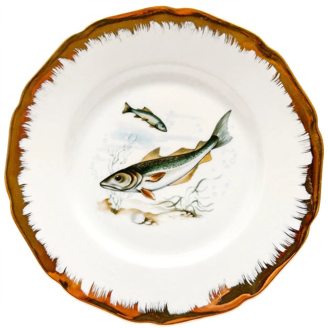 Vintage German Porcelain Fish Service Set – 6 Dinner Plates & Large Platter by Hutschenreuther Hohenberg For Sale - Image 4 of 8