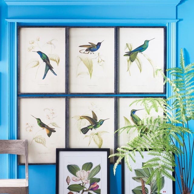 Chinese Hummingbird Prints, Set Of 6 For Sale - Image 3 of 4