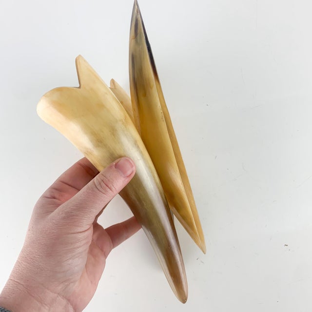 Realism Vintage Buffed Polished Cow Ox Horns Wall Plant Hanging Pocket Western Ranch For Sale - Image 3 of 9