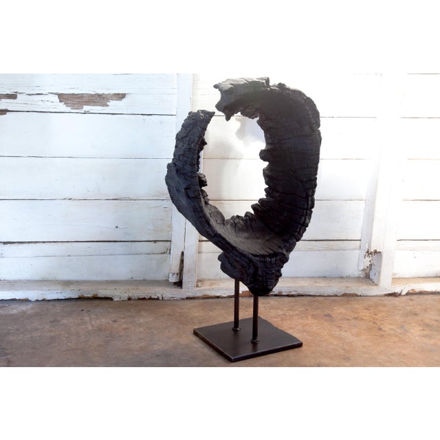 Kandara Yakisugi Modern Organic Sculpture For Sale - Image 10 of 11