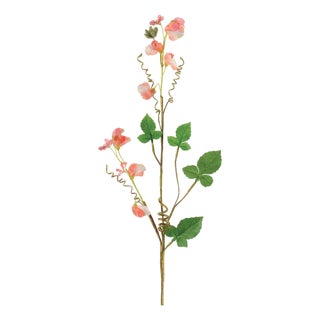 Sweet Pea Floral Spray (Set of 6) For Sale