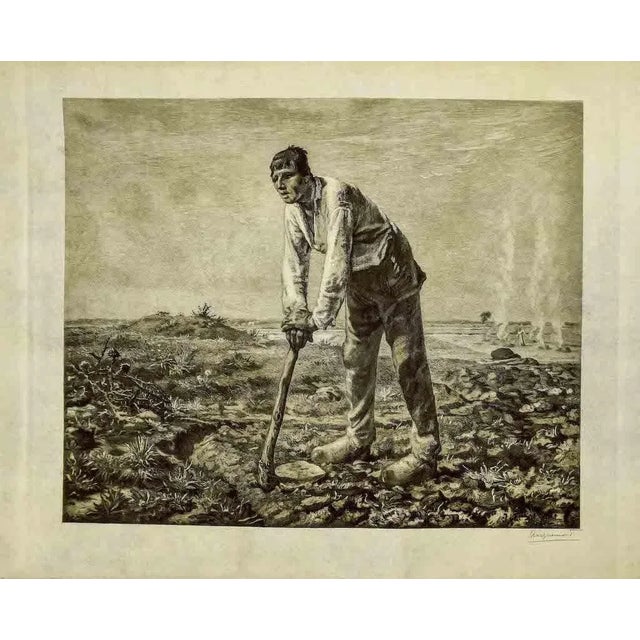 Farmer is an original etching, realized by French artist Félix Henri Bracquemond. Sheet dimension: 52.5 x 64.5 cm. Image...