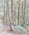 1970s "Woods in New Jersey" Unfinished Landscape Oil Painting by William A. Smith For Sale