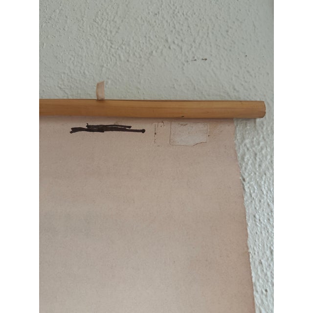 Vintage 1969 Typing Instruction Pull-Down Chart – Secretary School Poster -- Poster H For Sale In Jacksonville, FL - Image 6 of 6