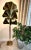Stunning Floor Lamp by Carlo Giorgi Bottega Gadda. Features large brass gingko leaves with each leaf concealing a light...