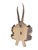 1900 - 1909 Roe Deer Trophy 240, Black Forest Antlers For Sale - Image 5 of 5