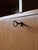Wood Vintage Danish Bookcase in Oak, 1960s For Sale - Image 7 of 8