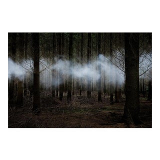 Between the Trees 6, Ellie Davies, 2014 For Sale