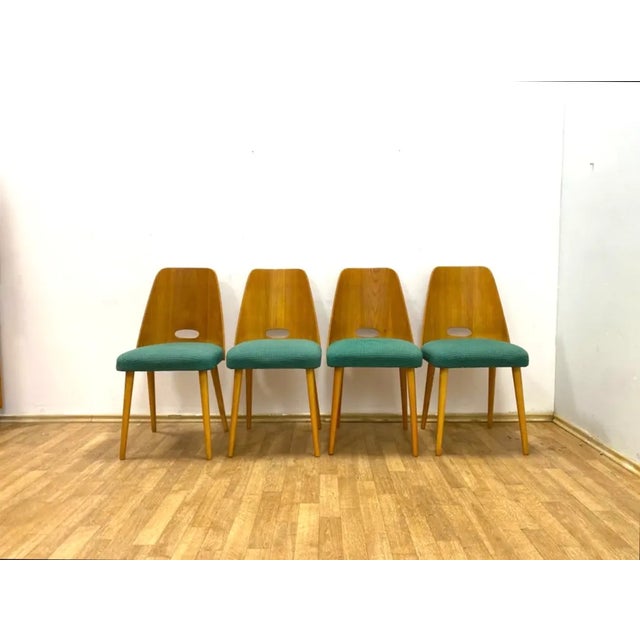 Mid-Century Modern Brussels Style Chairs, Czechoslovakia, 1964, Set of 4 For Sale - Image 3 of 11
