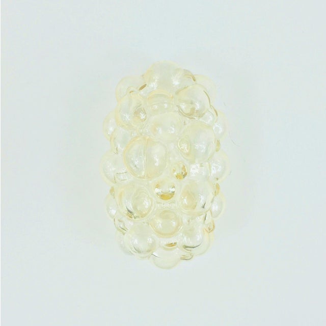 Glass Mid-Century Modern Amber Bubble Glass Wall Lamp by Helena Tynell for Limburg, Germany, 1960s For Sale - Image 7 of 9