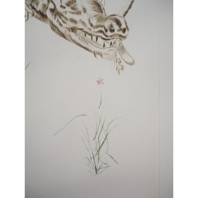 Salvador Dali, Tristan and the Dragon, 1970, Original Etching For Sale - Image 6 of 8