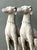 Late 20th Century Vintage Cast Concrete Dogs - A Pair For Sale - Image 5 of 12
