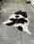 2010s Black and White Cowhide - 5′4″ × 14′2″ For Sale - Image 5 of 5