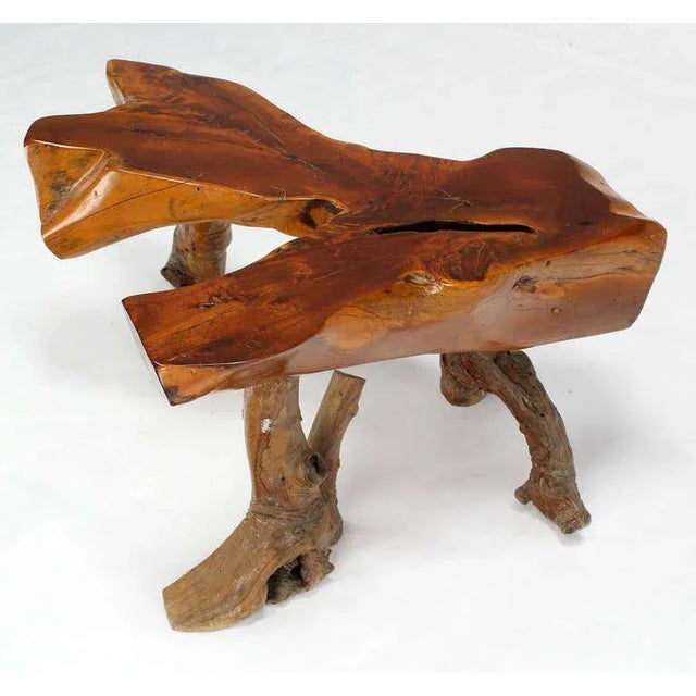 Contemporary Organic Modern Driftwood Coffee Table For Sale - Image 3 of 11