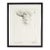 “Seeing in Believing” Ink Drawing by James L. Bruch For Sale