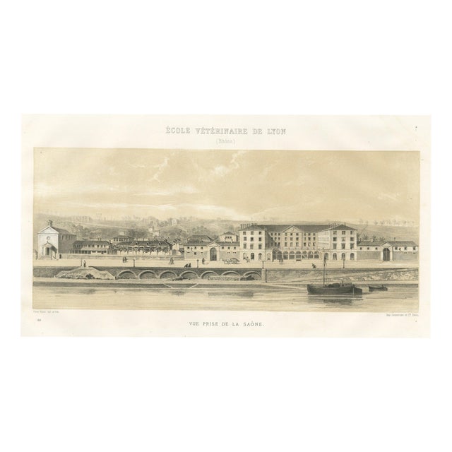 Victor Rose, Lyon Veterinary School from the Saone, 1873, Paper For Sale