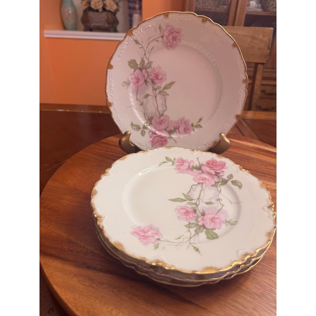 1930s Luncheon Plate Schleiger 1151 by Haviland a Set of 4 For Sale In Austin - Image 6 of 11