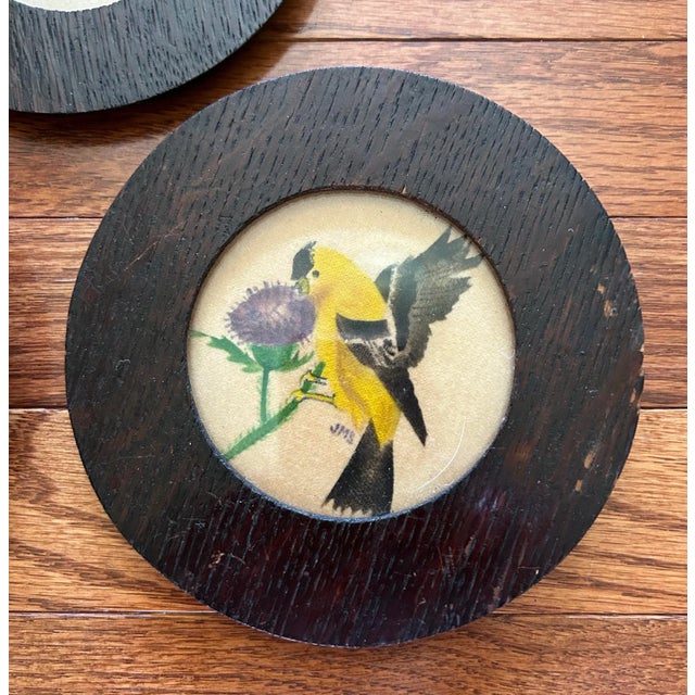 Antique Set of Three Small Theorum Paintings of Birds in Wood Frames For Sale - Image 4 of 11