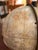 19th Century Antique Italian Celestial Globe on Turned Wood Floor Stand For Sale - Image 4 of 18
