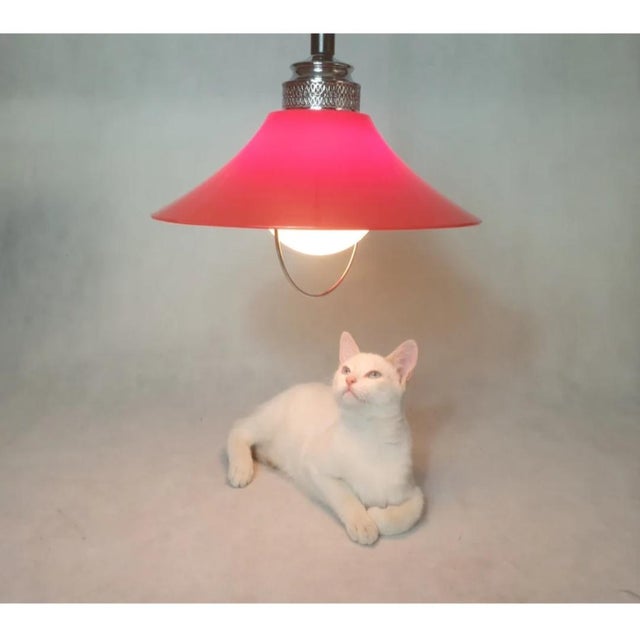 Bell-Shaped Pendant Lamp For Sale - Image 4 of 17