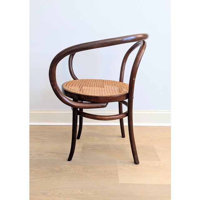 Thonet Vintage Gerdau Bentwood Chair Caviuna Wood & Cane Seat in the Style of Thonet For Sale - Image 4 of 14