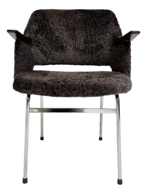 FT30 Chair by Cees Braakman for Pastoe, 1950s