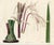 This large format print is an original early 1800s hand-colored botanical engraving published in "Curtis's Botanical...