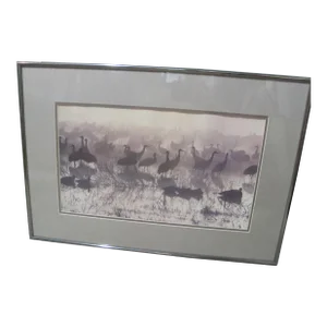 Audubon Society Framed Magazine Twilight Bird Gathering Print
