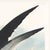 Black Black Skimmer, Vintage Art Print Reproduction From Birds of America by John James Audubon, 24" X 24" For Sale - Image 8 of 10