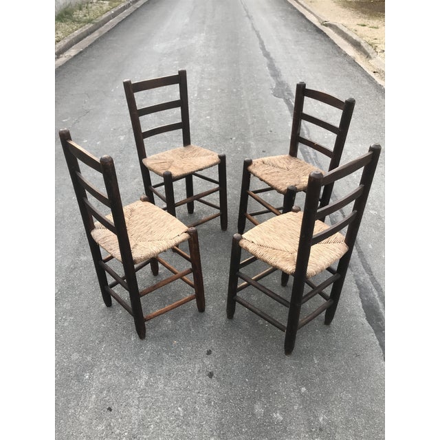 Rustic Chairs with Straw Seats, 1950, Set of 4 For Sale - Image 4 of 14