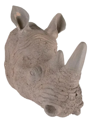 Rhinoceros Head Wall Décor
