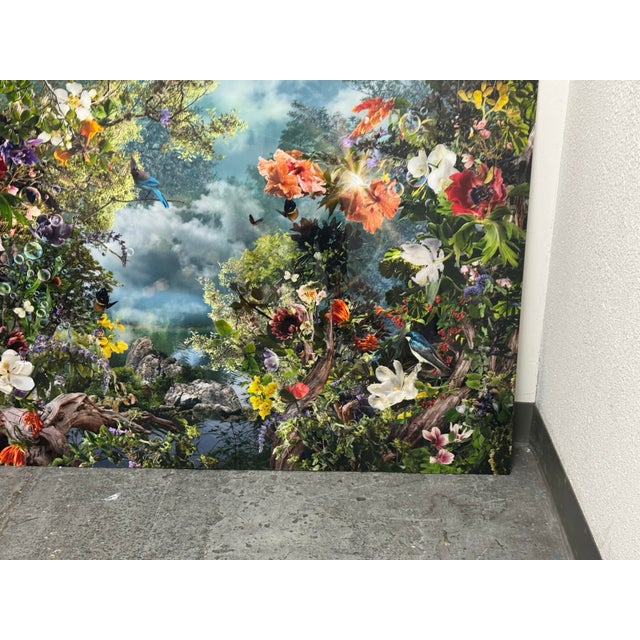 Photography Ysabel LeMay “Life Goes on Ii” Signed Limited Edition Print With Certificate For Sale - Image 7 of 12
