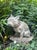 Antique French bull dog statue, weathered and as found.