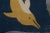 Textile Handknotted Turkish Dolphin Pictorial Rug 3'11'' X 5'10'' For Sale - Image 7 of 12