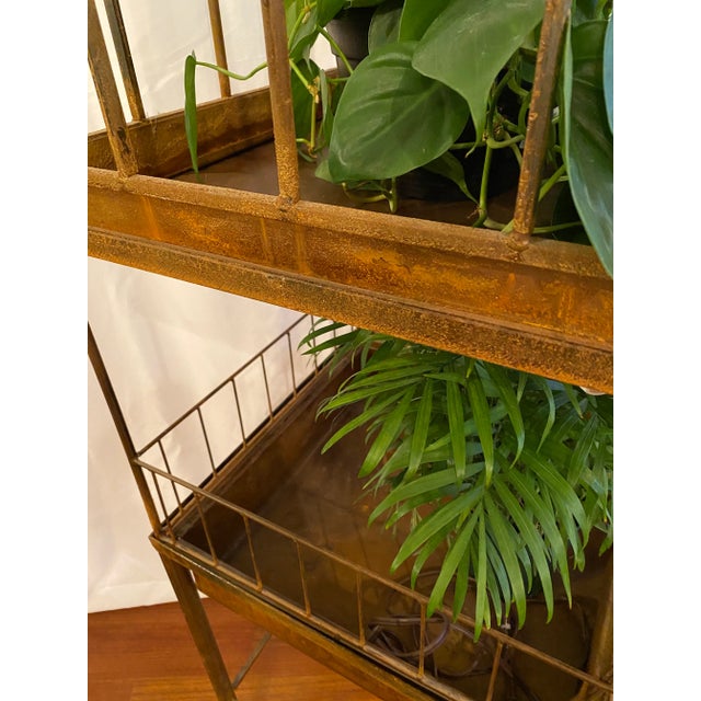 Antique Victorian Wrought Iron Wardian Terrarium Plant Case Stand For Sale In Chicago - Image 6 of 13