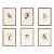 Set of Six. Antique French Botanical Engraving by Pierre Jean François Turpin (C. 1835), Professionally Framed For Sale