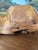 Hand-Carved Live Edge Likely Burl Wood Display Stand or Sculpture Base With Organic Form. For Sale - Image 4 of 10