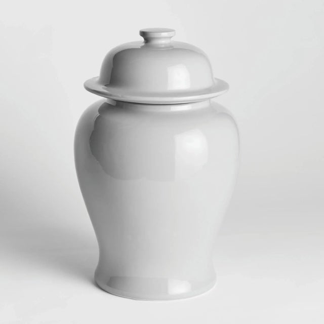 In an unexpected smaller size for traditional ginger jars, this is a modern take on a classic. The bright white high gloss...