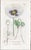 Offered here is an original antique botanical print from the celebrated English Botany series, featuring the distinctive...