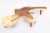 Brown 83" Long Free Form One Slab Living Edge Coffee Table 10 For Sale - Image 8 of 12