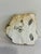 Vintage Gold Painted Fish Wall Decor For Sale - Image 9 of 12