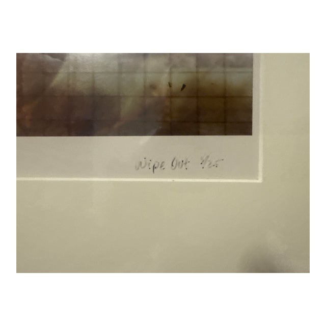 Dorrit Dokter Signed Limited Edition Photograph 16/25 “Wipe Out” Large Framed For Sale