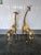 Mid-Century Modern 1970's Life Size Brass Baby Giraffes - a Pair For Sale - Image 3 of 12
