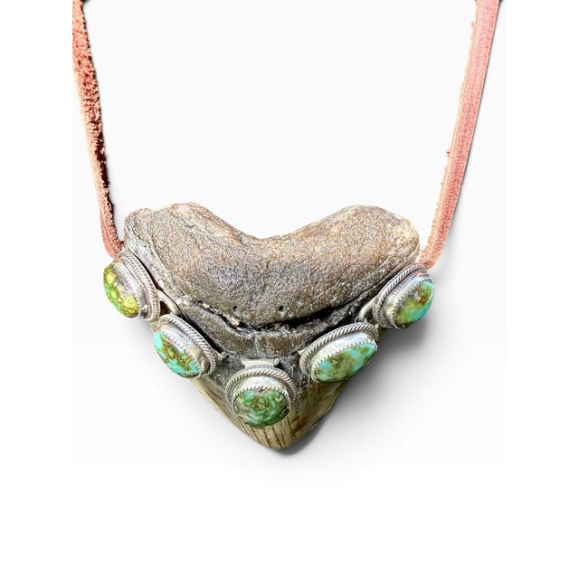 Roie Jaque Navajo Sterling Silver Turquoise Megalodon Tooth Pendant Necklace For Sale - Image 14 of 18