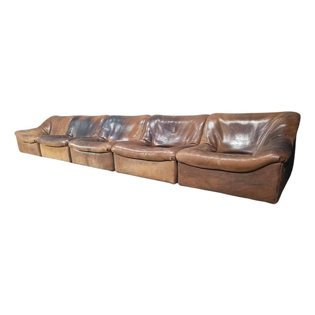 Vintage Bufflao Leather DS46 Modular Sofa from de Sede, 1970s, Set of 5 For Sale