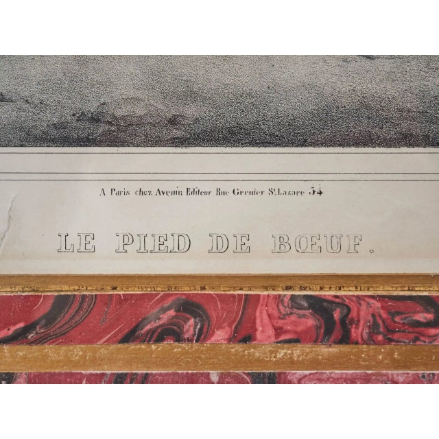 Avenir, Le Pied de Boeuf and La Main Aude, Lithograph For Sale - Image 6 of 12